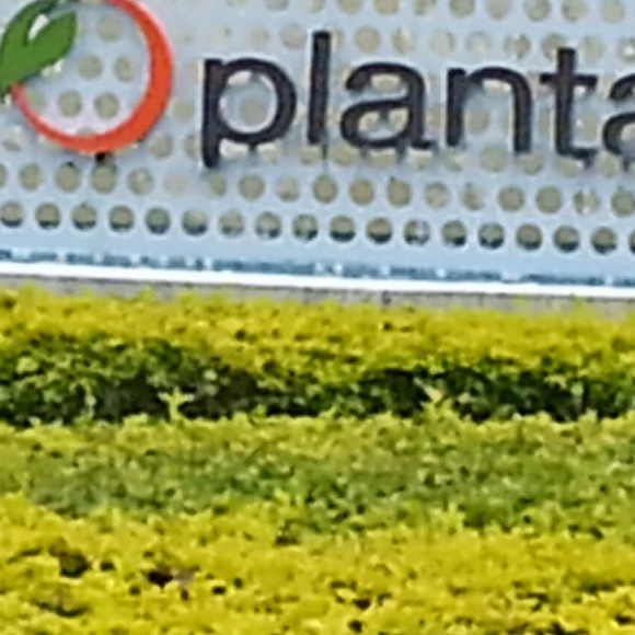 Meet your Posher, Christopher - Picture 1 of 1